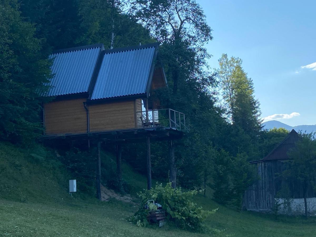 Hotel Camp Rabrenović Mojkovac Exterior foto