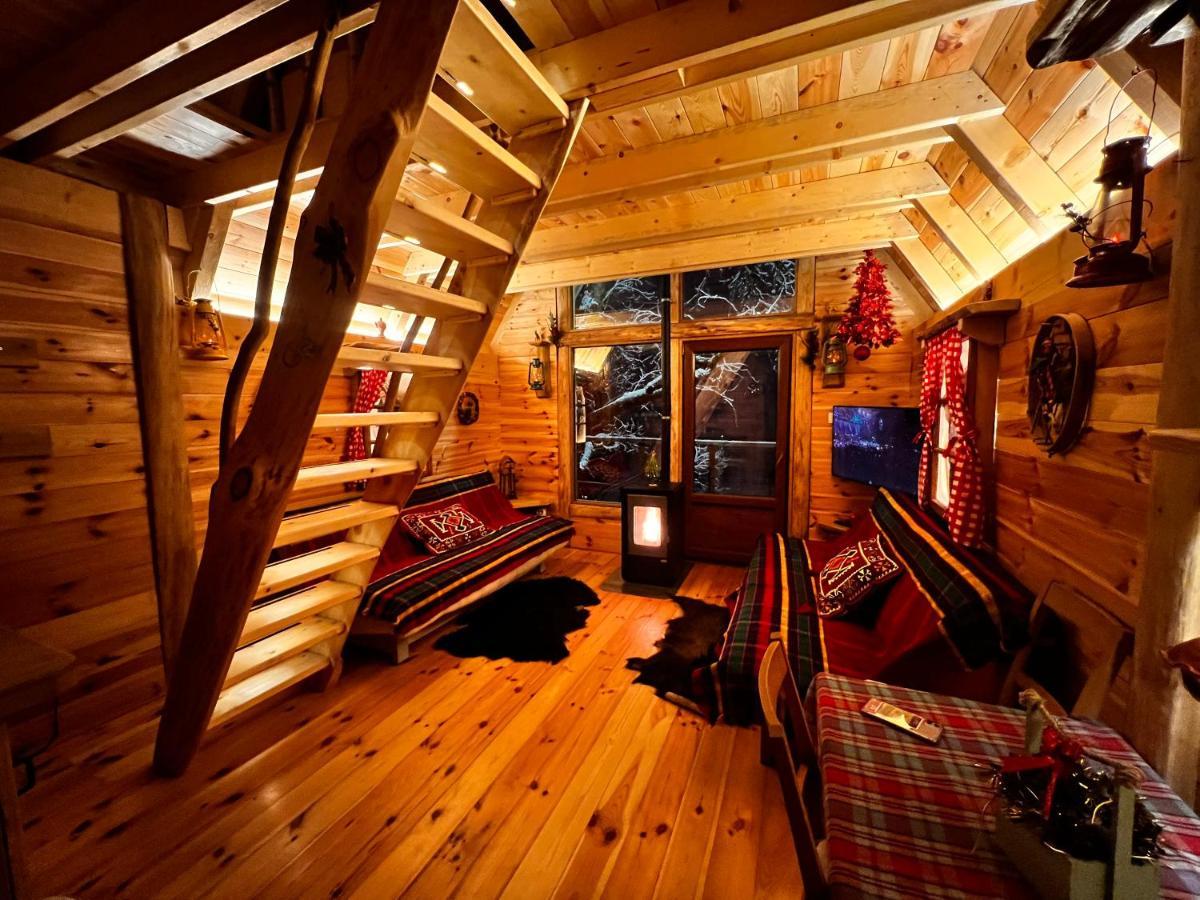 Hotel Camp Rabrenović Mojkovac Exterior foto